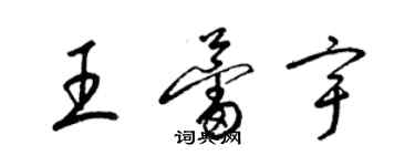 梁锦英王蕾宇草书个性签名怎么写