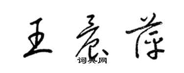 梁锦英王晨萍草书个性签名怎么写