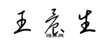 梁锦英王晨生草书个性签名怎么写