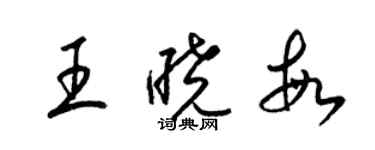梁锦英王晓敏草书个性签名怎么写