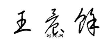 梁锦英王晨余草书个性签名怎么写