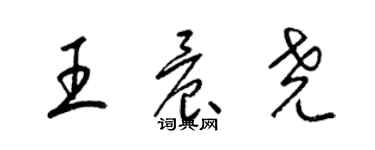 梁锦英王晨尧草书个性签名怎么写