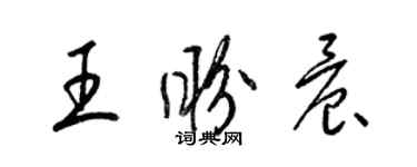 梁锦英王盼晨草书个性签名怎么写