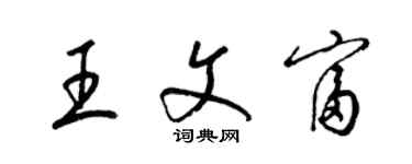 梁锦英王文富草书个性签名怎么写