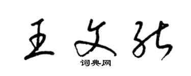 梁锦英王文能草书个性签名怎么写