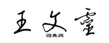 梁锦英王文灵草书个性签名怎么写