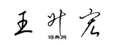 梁锦英王升宏草书个性签名怎么写