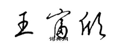 梁锦英王富欣草书个性签名怎么写