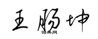 梁锦英王肠坤草书个性签名怎么写
