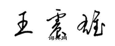 梁锦英王震雄草书个性签名怎么写