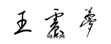 梁锦英王震梦草书个性签名怎么写