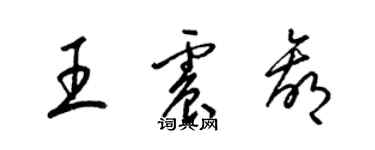 梁锦英王震赢草书个性签名怎么写