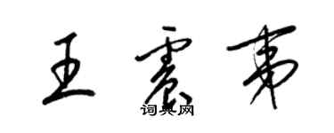 梁锦英王震夷草书个性签名怎么写