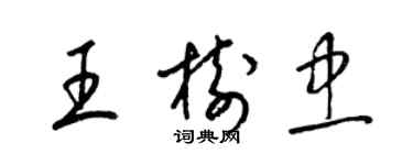 梁锦英王树忠草书个性签名怎么写