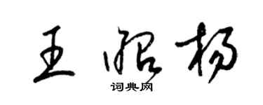 梁锦英王昭杨草书个性签名怎么写