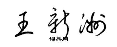 梁锦英王新洲草书个性签名怎么写