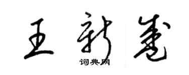 梁锦英王新盛草书个性签名怎么写