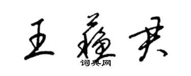 梁锦英王苏君草书个性签名怎么写