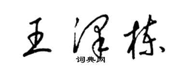 梁锦英王泽栋草书个性签名怎么写