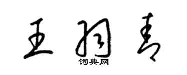 梁锦英王羽青草书个性签名怎么写