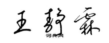 梁锦英王静霖草书个性签名怎么写