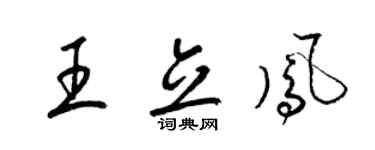 梁锦英王立凤草书个性签名怎么写