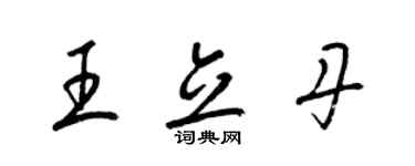 梁锦英王立丹草书个性签名怎么写