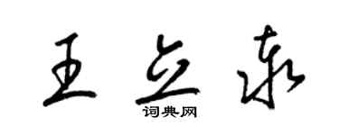梁锦英王立泰草书个性签名怎么写