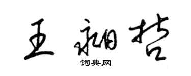 梁锦英王昶哲草书个性签名怎么写
