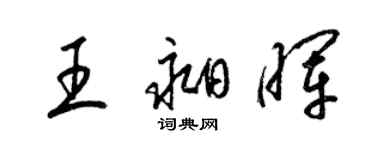 梁锦英王昶晖草书个性签名怎么写