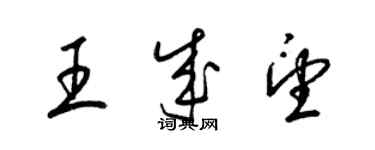 梁锦英王成望草书个性签名怎么写