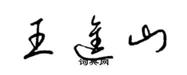 梁锦英王进山草书个性签名怎么写