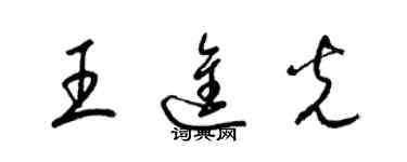 梁锦英王进光草书个性签名怎么写