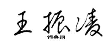 梁锦英王振凌草书个性签名怎么写