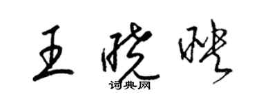 梁锦英王晓映草书个性签名怎么写