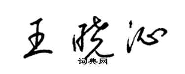 梁锦英王晓沁草书个性签名怎么写