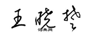 梁锦英王晓楚草书个性签名怎么写