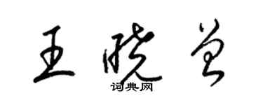 梁锦英王晓曾草书个性签名怎么写