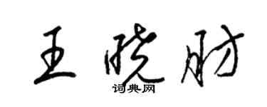 梁锦英王晓肪草书个性签名怎么写