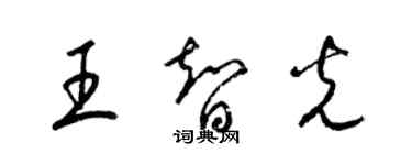 梁锦英王智光草书个性签名怎么写