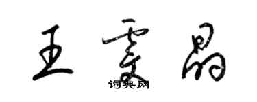 梁锦英王雯晶草书个性签名怎么写