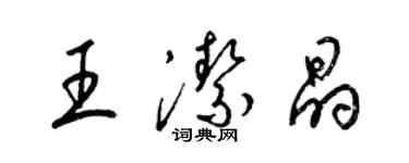梁锦英王洁晶草书个性签名怎么写