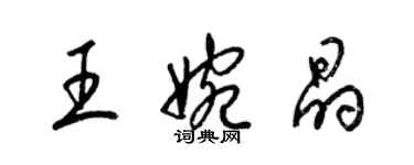 梁锦英王婉晶草书个性签名怎么写