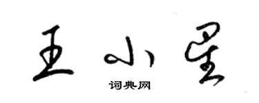 梁锦英王小星草书个性签名怎么写