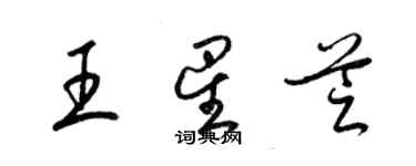 梁锦英王星芝草书个性签名怎么写
