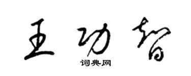 梁锦英王功智草书个性签名怎么写
