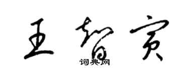 梁锦英王智寅草书个性签名怎么写