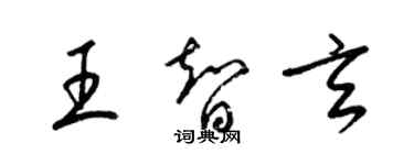梁锦英王智玄草书个性签名怎么写