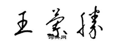 梁锦英王兰胜草书个性签名怎么写