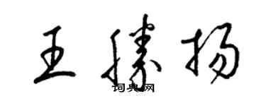 梁锦英王胜扬草书个性签名怎么写